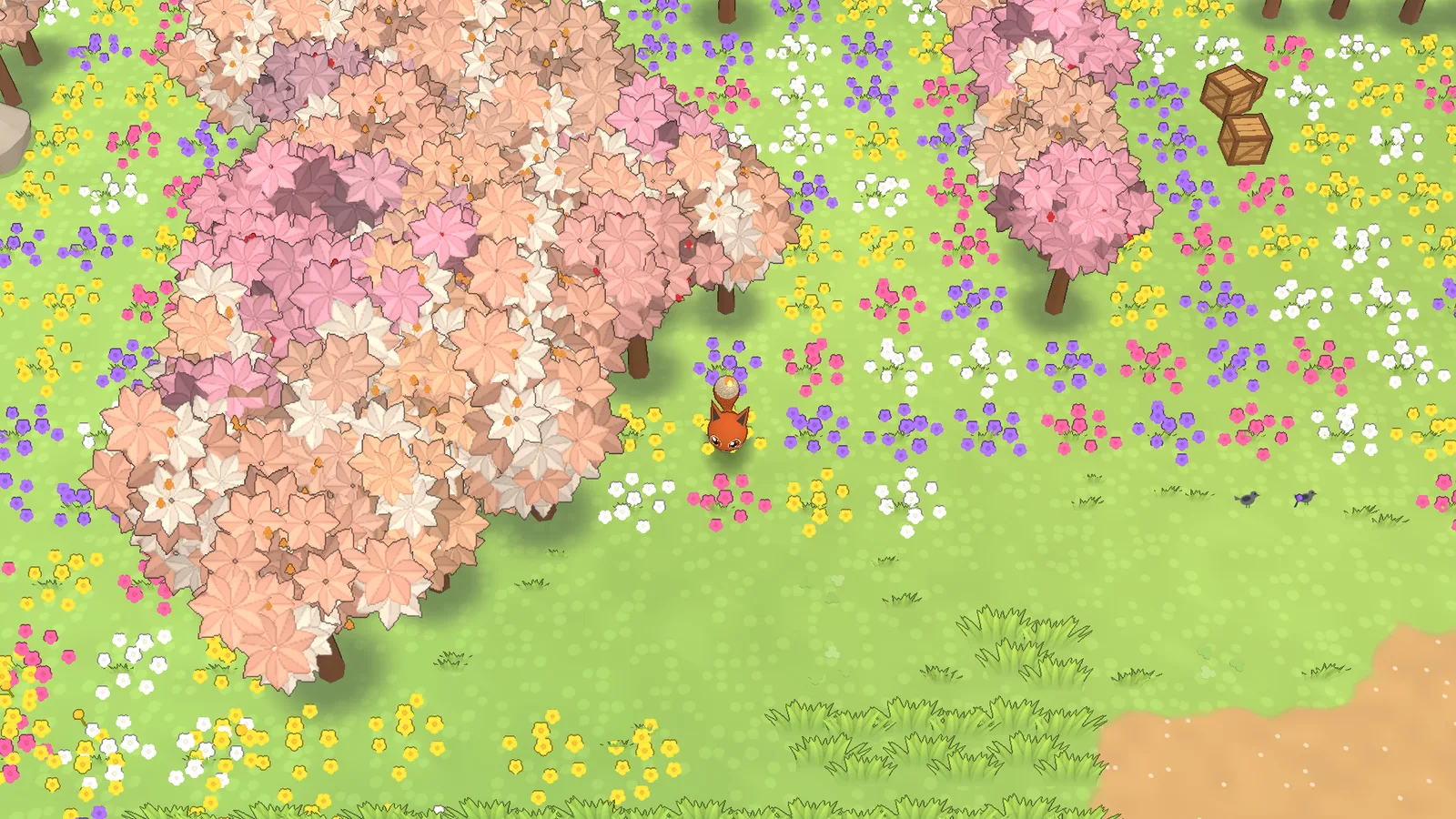A fox in a meadow of blossoming trees